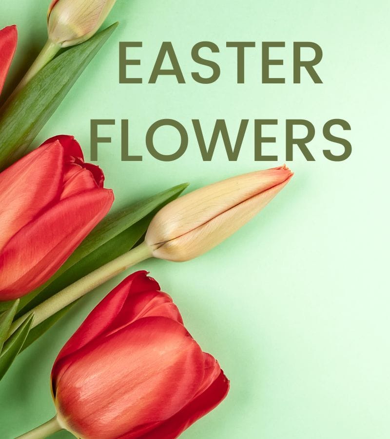 Easter flower dedications