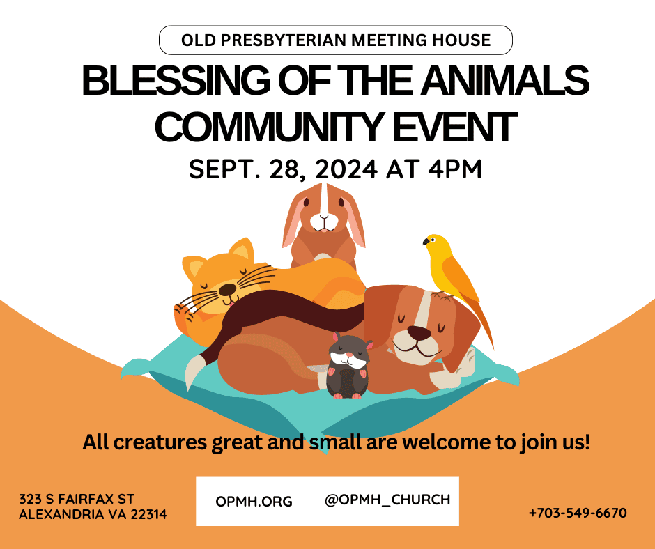 blessing of the animals