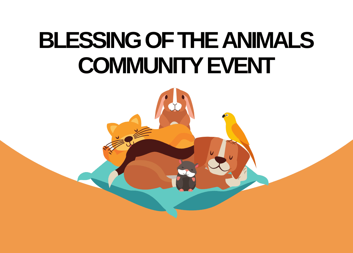 Blessing of the animals