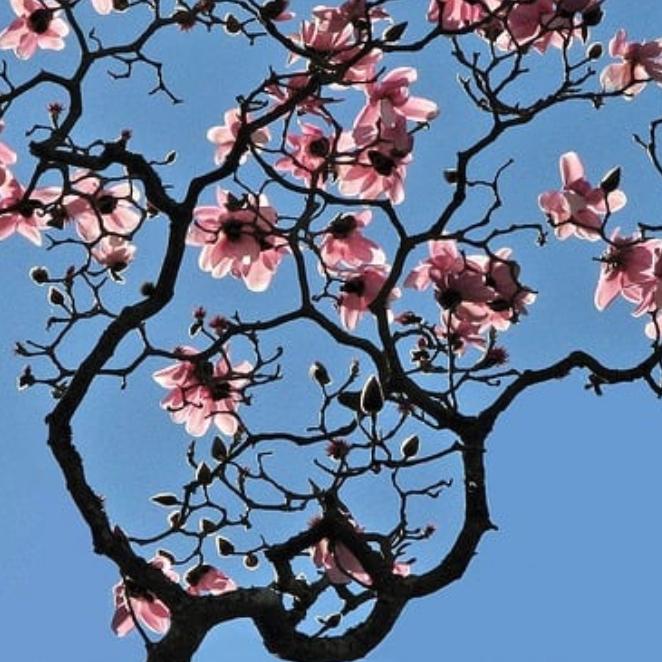 Love Persevering, by Rev. Dr. Shelly Wood episode artwork